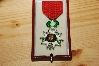 Légion d'honneur du Professeur François Mauguiere (9).JPG