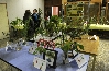 Exposition Mycologique et plantes 03.JPG