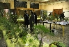 Exposition Mycologique et plantes 04.JPG