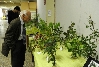 Exposition Mycologique et plantes 12.JPG