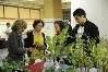 Exposition Mycologique et plantes 32.JPG