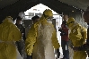 Journée Ebola à Lyon 1 37