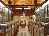 Musée d'Anatomie