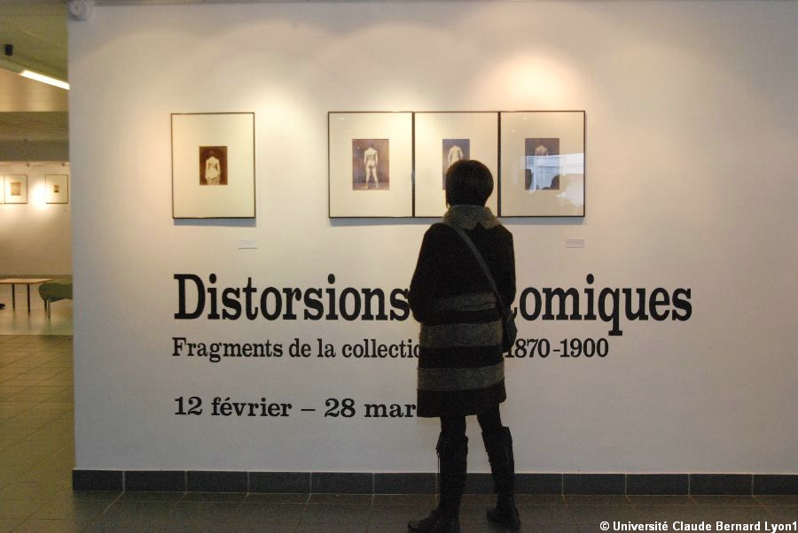 Photothèque Lyon 1 - Exposition de Photographies