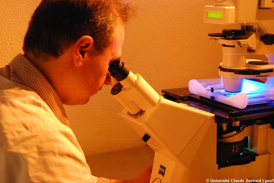 Photothèque Lyon 1 - Microscope à fluorescence 