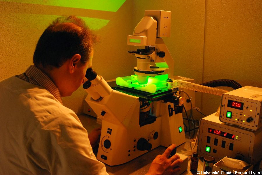 Photothèque Lyon 1 - Microscope à fluorescence