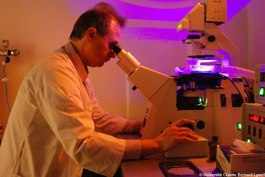 Photothèque Lyon 1 - Microscope à fluorescence 