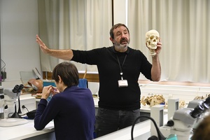TP d' anatomie comparée, squelette de vertébrés variés