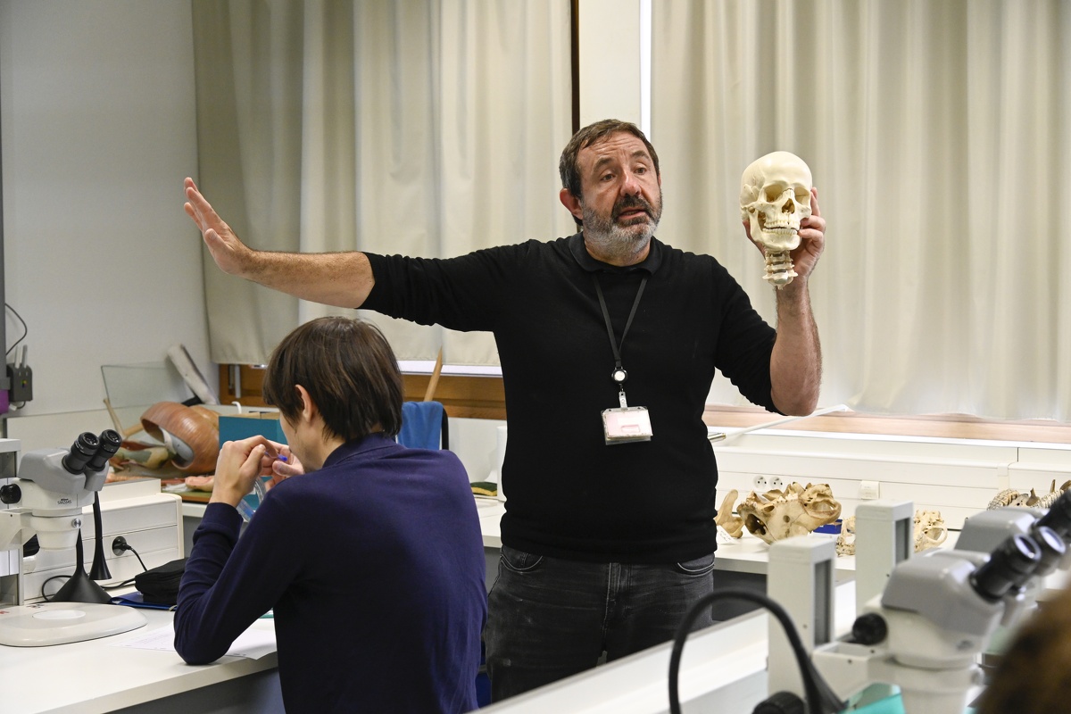 TP d'Anatomie comparée, squelette de vertébrés variés, Gilles Cuny, Laurent Viriot (2).jpg
