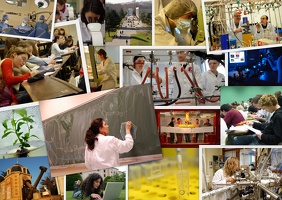 Montage université