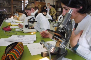Enseignement biochimie-biologie