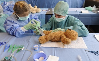 Hôpital des nounours Lyon1