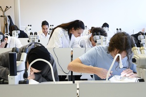 Enseignement à l'université