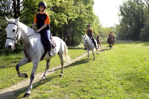 Cheval au parc de Miribel