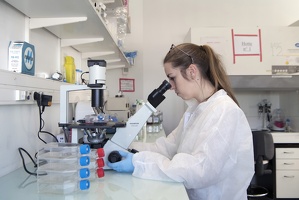 Microscopie, travail paillasse