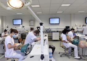 Salle des têtes d'Odontologie