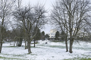 Neige sur le campus