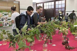 journée découverte plantes 