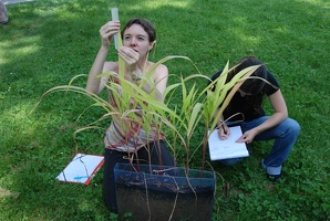 Biologie, travaux pratiques évolutifs