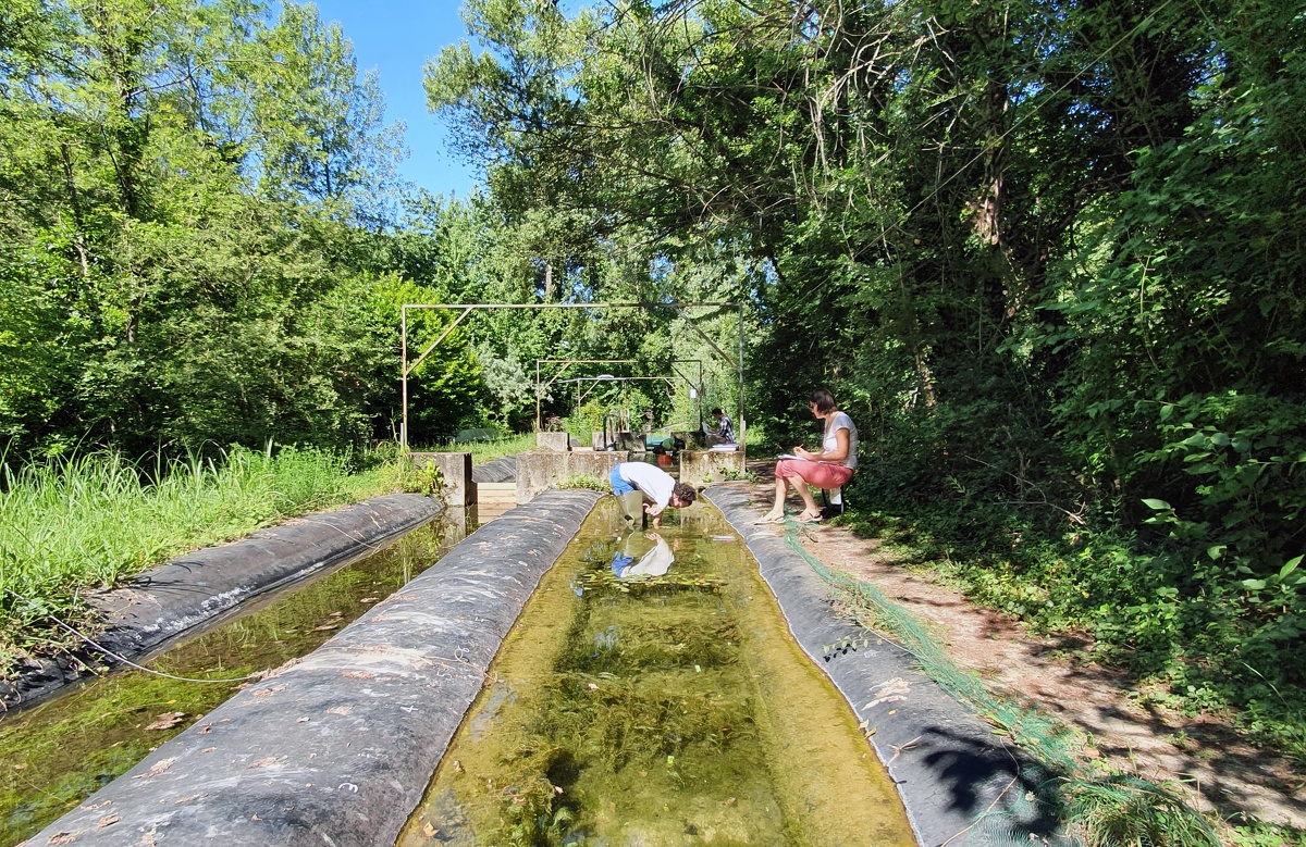 Changement climatique.jpg