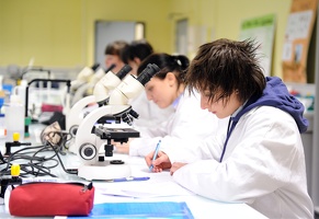 Travaux pratiques en Pharmacie