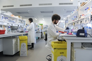 Laboratoire de l'Institut NeuroMyoGène 