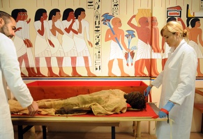 Scanner des Momies, Hôpital Hédouard Herriot