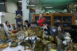 Travaux pratiques squelletes, Zoologie