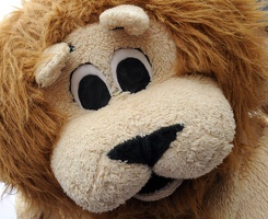 Mascotte Lyon1