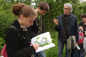 Reconnaissance des plantes 