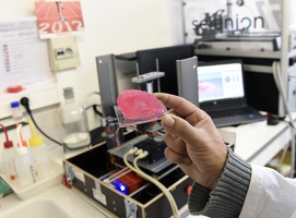 Laboratoire 3D-Fab peau artificielle 