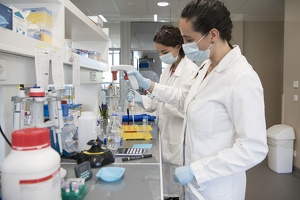 Pipetage laboratoire Chimie