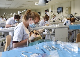 Faculté d'Odontologie de Lyon1