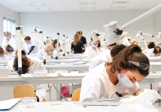 Travaux pratiques