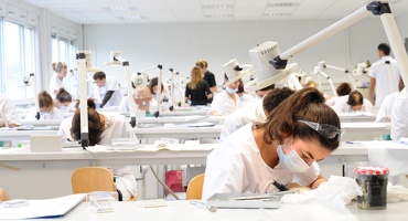 Faculté d'Odontologie de Lyon1