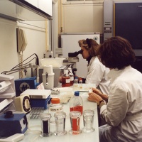 Recherche Chimie Rockefeller