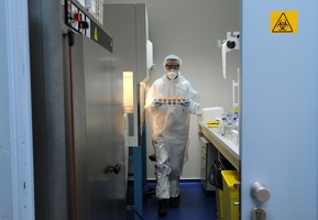 Virus de la grippe