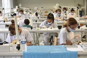 Salle des têtes d'Odontologie