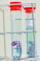 Chimie