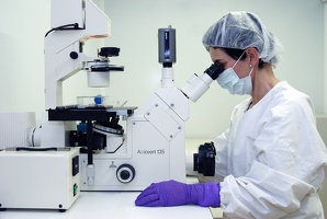 Microscopie Santé globale