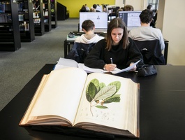 Fonds ancien de la bibliothèque des sciences