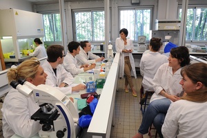 TP de Biologie, campus de la Doua