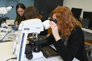 TP de Physiologie, L3, Sylvie Ducreux