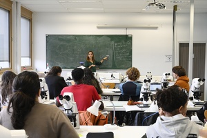 TP de Physiologie, L3, Sylvie Ducreux