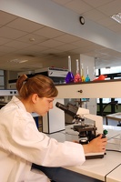 Etudiants devant un microscope