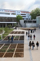 Vie quotidienne à l'université