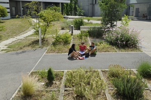 Discussions entre étudiants