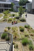 Déambulation sur le site de Lyon Est