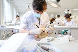 Odontologie 03
