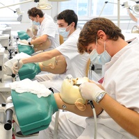 Odontologie, salle des têtes